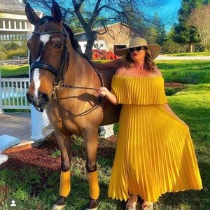 Long pleated off the shoulder dress worn about three times.